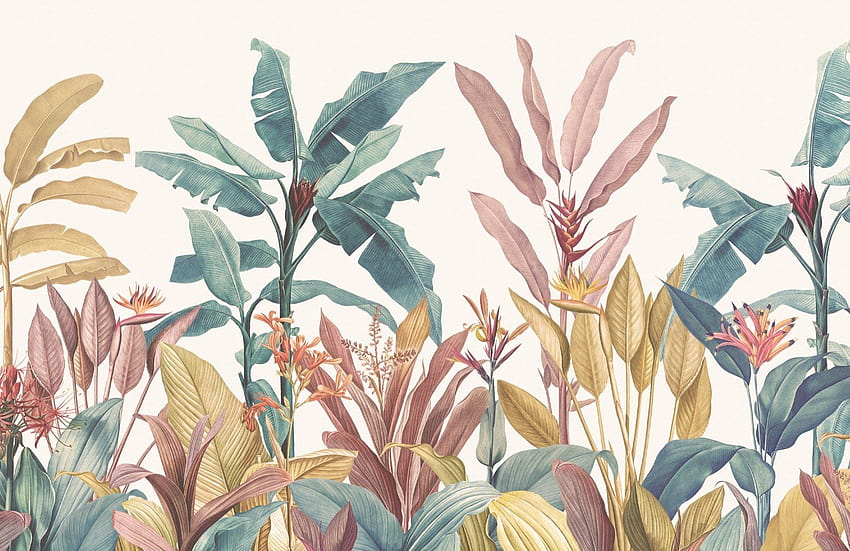 Tropical Minimalist, plant aesthetic plain HD wallpaper