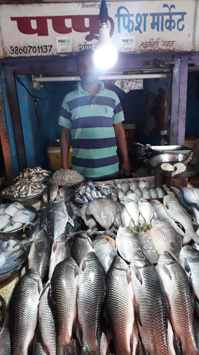 Pappu Fish Market , ハダプサー, プネー HD電話の壁紙