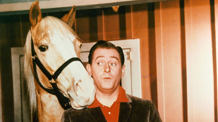 Mr. Ed' Actor Alan Young Dies At 96, mister ed HD wallpaper