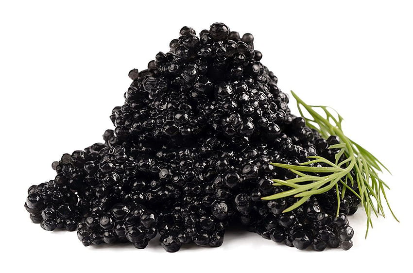 Black Grain Caviar Food HD wallpaper