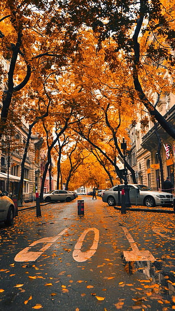 Page 2 | town autumn HD wallpapers | Pxfuel