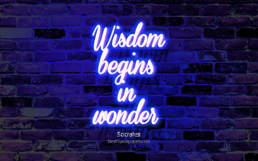 La sagesse commence dans l'émerveillement, le mur de briques bleues, les citations de Socrate, le texte néon, l'inspiration, Socrate, les citations sur la sagesse avec une résolution de 3840x2400. Haute qualité, citations au néon Fond d'écran HD