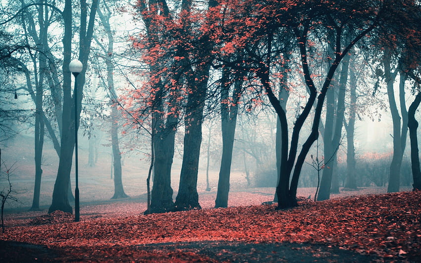 Spooky Fall posted by Sarah Cunningham, spooky autumn HD wallpaper | Pxfuel