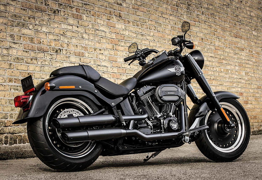 10 Harley, grubas Harley Davidson Tapeta HD