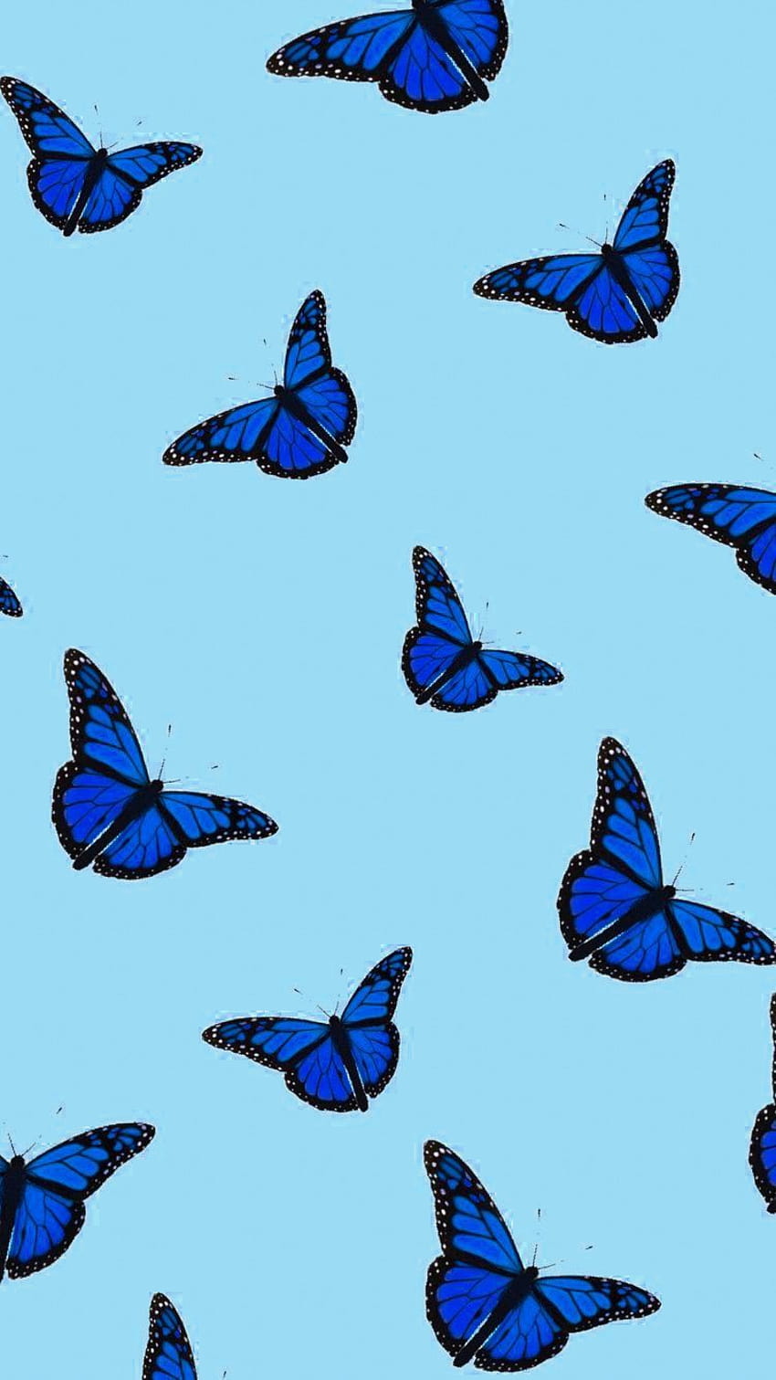 butterfly wallpaper vsco Archives  Inspirationfeed