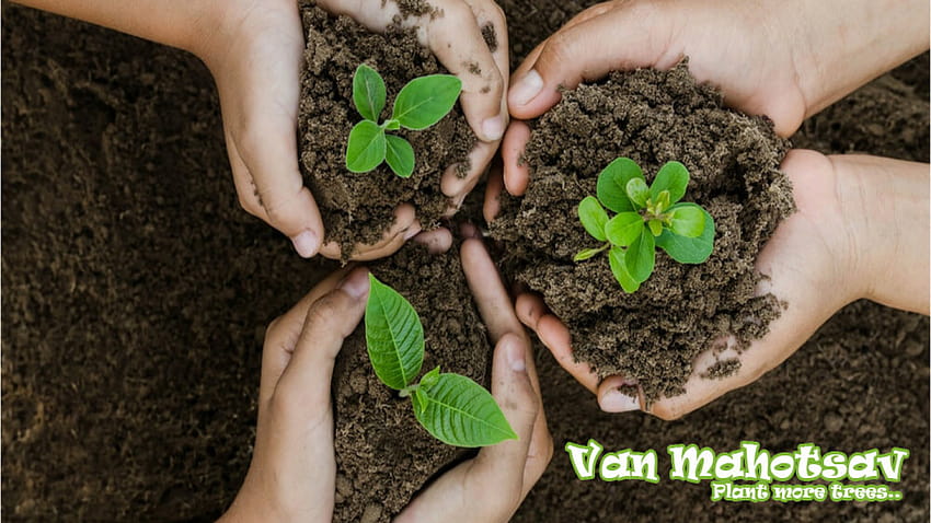 Van Mahotsav-Tag: Baum pflanzen, Umwelt schützen HD-Hintergrundbild