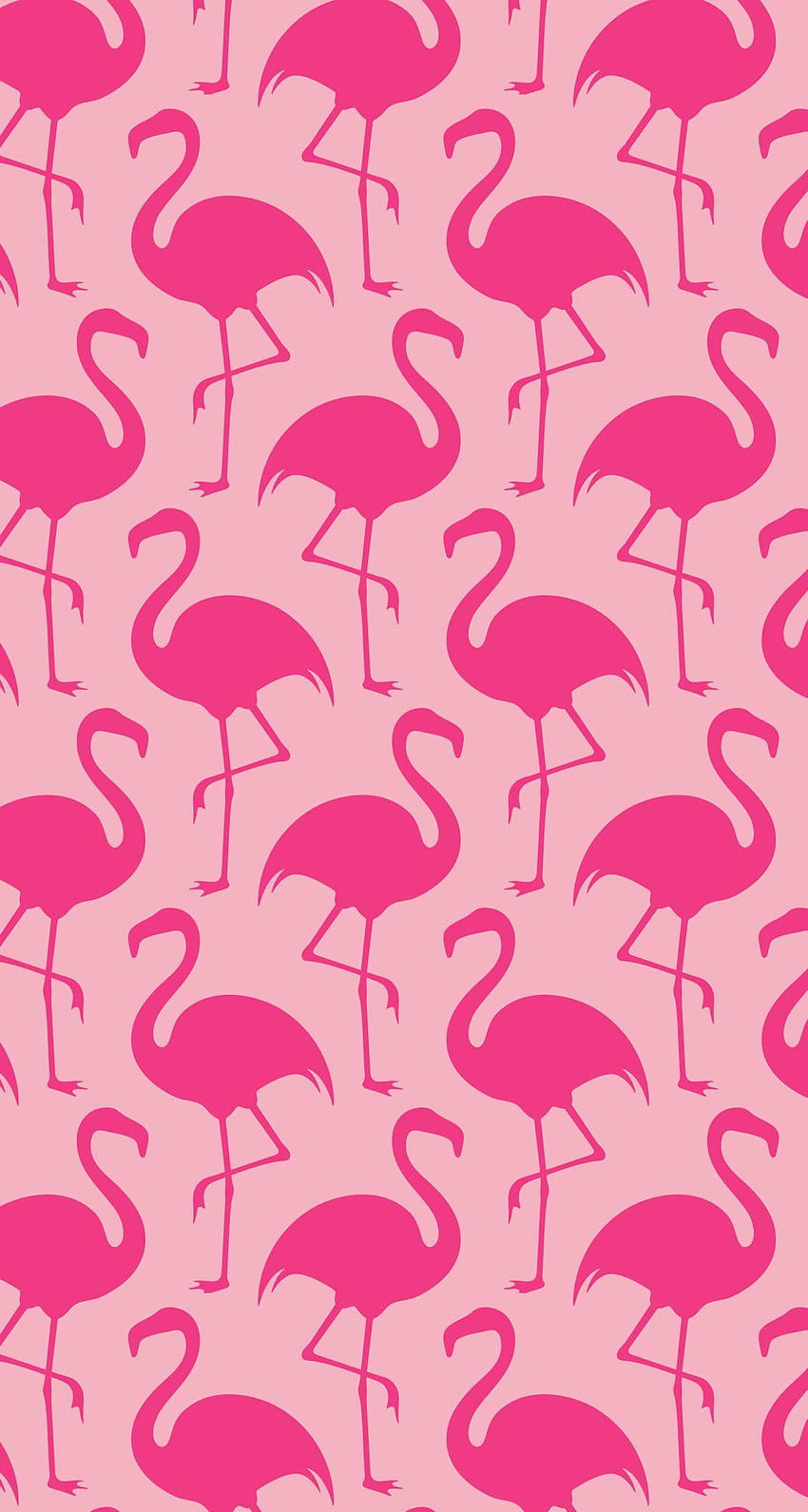 Pink on pink flamingos, flamingo pink HD phone wallpaper