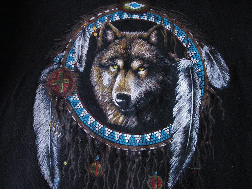 Native American Wolf, wolves and eagles HD wallpaper