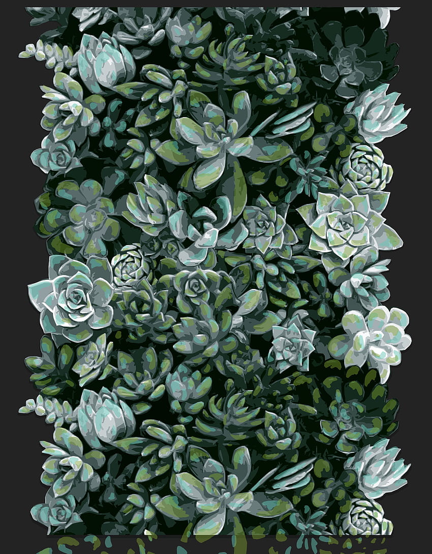 Succulents, succulent phone HD phone wallpaper