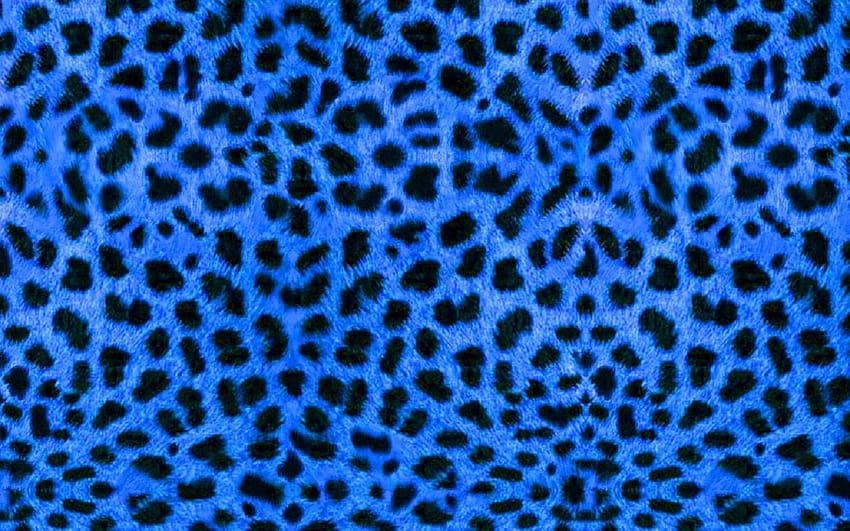 Estampa de leopardo azul, chita azul papel de parede HD