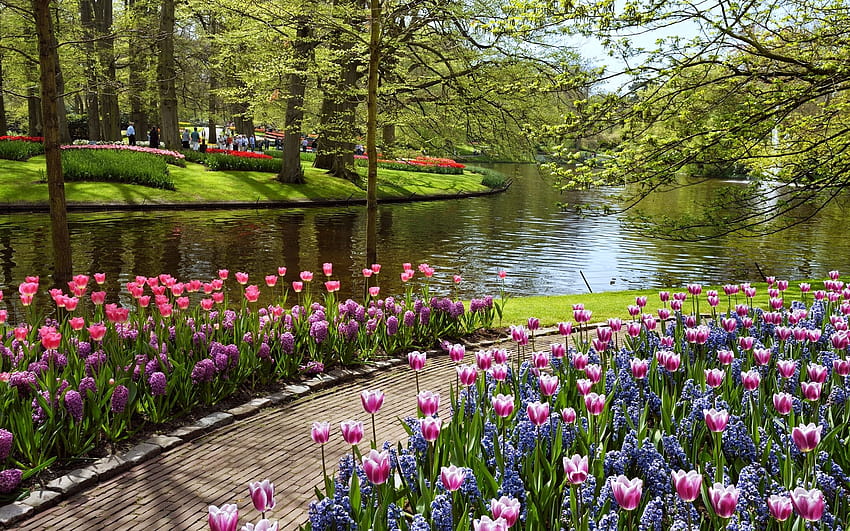Wunderschöne Sommergarten- und Handy-Hintergründe [2560x1600] für Ihren Frühlingsgarten, Ihr Handy und Tablet HD-Hintergrundbild