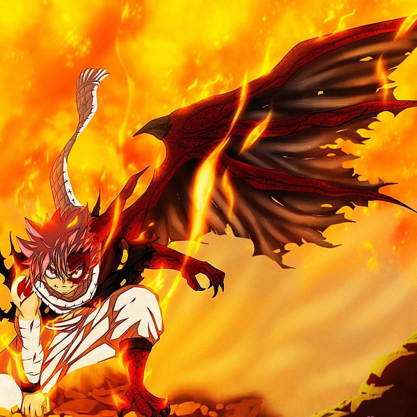 fire, battlefield, flame, logo, game, anime, tattoo, fairy tail anime natsu HD phone wallpaper