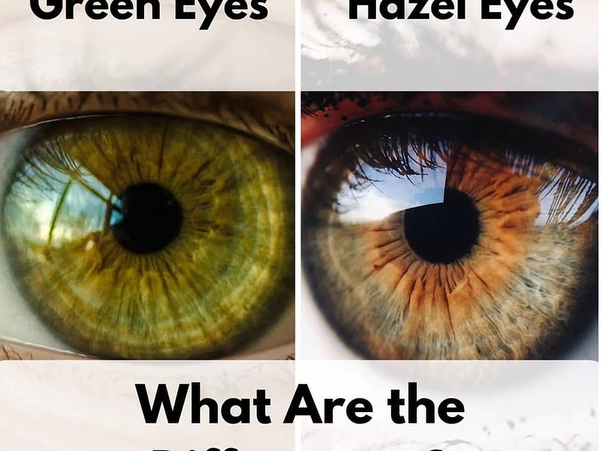 Разликата между зелени и лешникови очи HD тапет