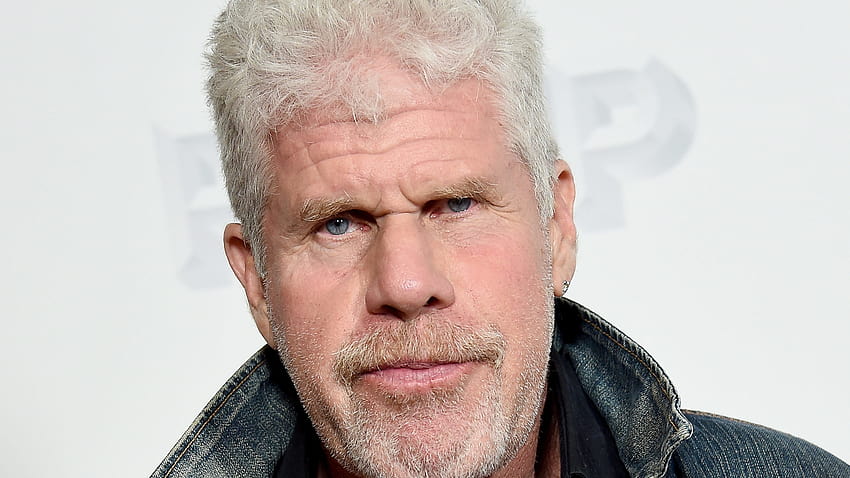 Ron Perlman Cast as Optimus Primal for 'Transformers: Rise of the Beasts' HD wallpaper