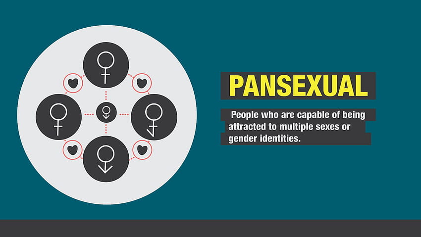 Panseksualizm: definicja, kontekst kulturowy i nie tylko Tapeta HD