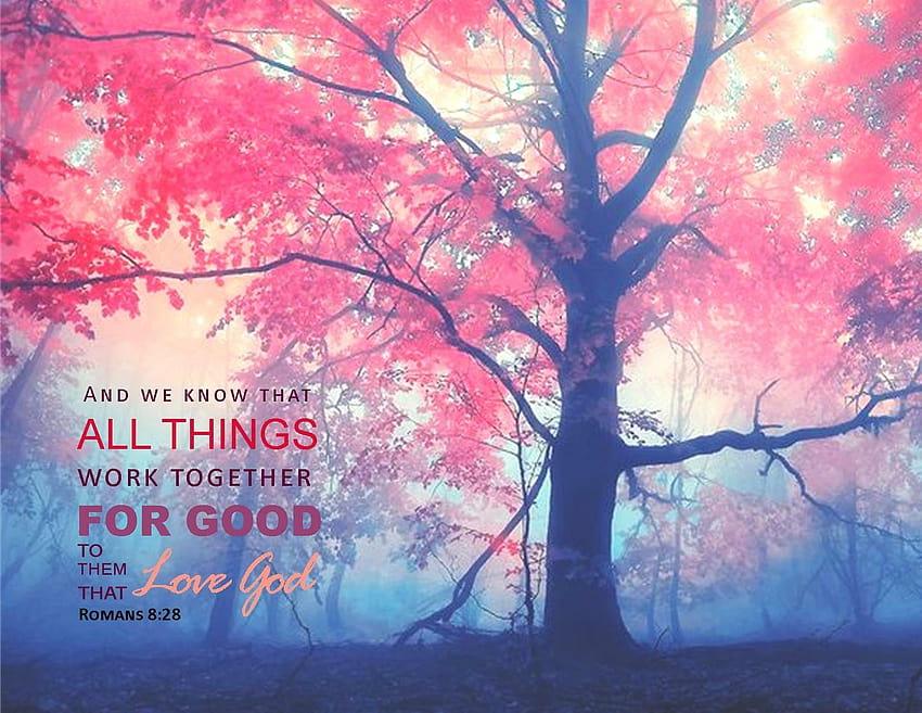 Romans 828 All Things Work Together For Good  Christian Wallpapers