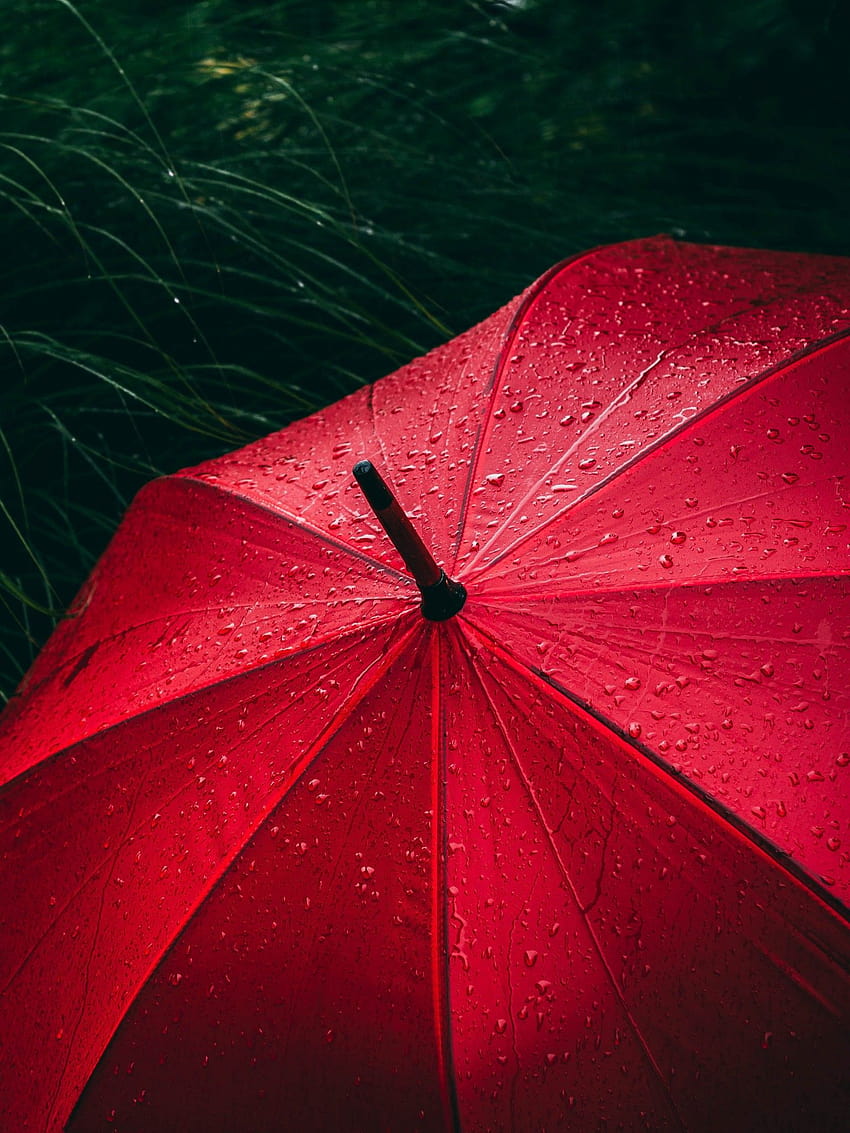 Umbrella , Red, Rain droplets, Rainy day, graphy HD phone wallpaper