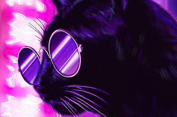Cat for chromebook HD wallpapers | Pxfuel