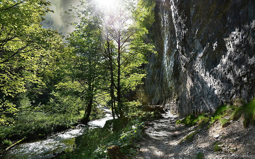 Слънчева светлина Пътека Гора Река Дървета Скала Камък ... Фонове, скалиста пътека HD тапет