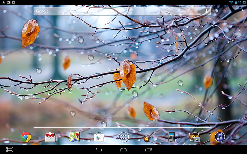 Herbstregentropfen, Regentropfenherbst HD-Hintergrundbild