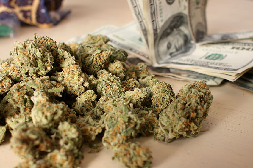 marijuana, Weed, 420, Drugs, Money / and, weed money women HD wallpaper