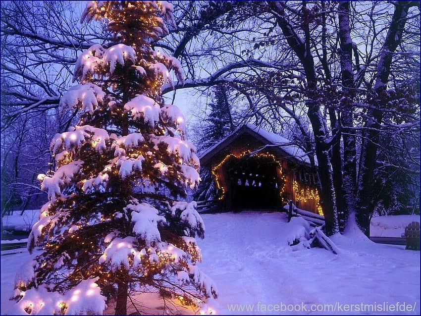 Christmas lights in tree and on bridge in a snowy christmas night. DF, christmas bridges HD wallpaper