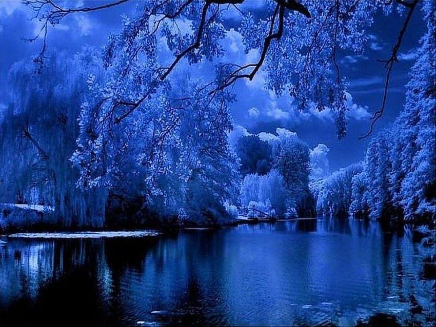 ทะเลสาบ: ต้นไม้ท้องฟ้า ธรรมชาติ ทะเลสาบสีฟ้ายามค่ำคืน ทิวทัศน์ที่สวยงาม ทิวทัศน์สีฟ้า วอลล์เปเปอร์ HD