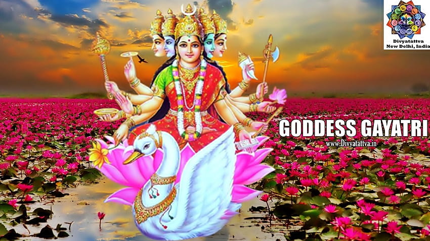 Divyatattva Astrology Horoscopes Psychic Tarot Yoga Tantra Gayatri Hd Wallpaper Pxfuel 1345