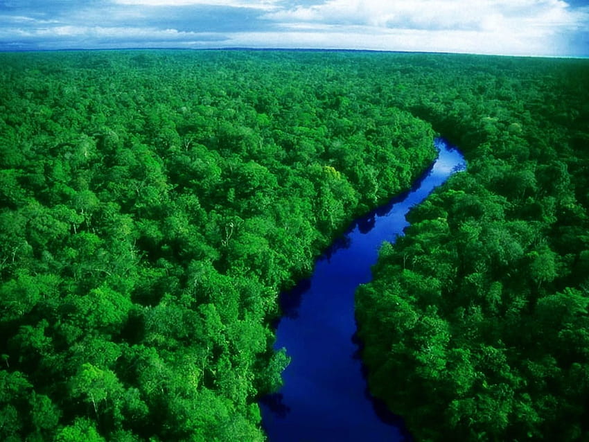 Die 2 besten Amazon-Hintergründe auf Hip, Amazonas HD-Hintergrundbild