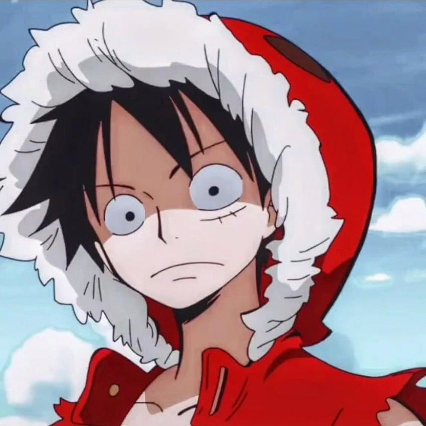 Luffy pfp HD wallpapers