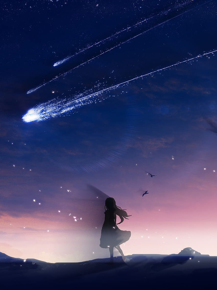 Anime School Girl Under The Starry Night Sky With Shooting Stars Live  Wallpaper - MoeWalls