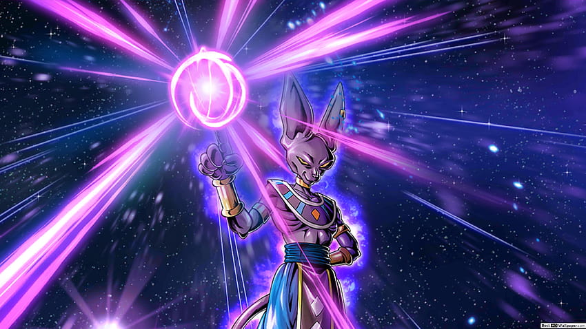 Beerus on Dog HD wallpaper | Pxfuel