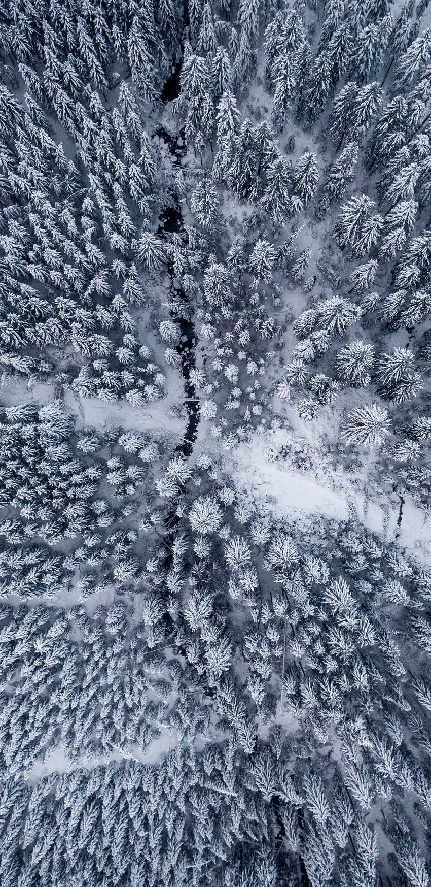 Winter, aerial view, forest , 1440x2960, Samsung Galaxy S8, Samsung Galaxy S8 Plus, 1440x2960 winter HD phone wallpaper