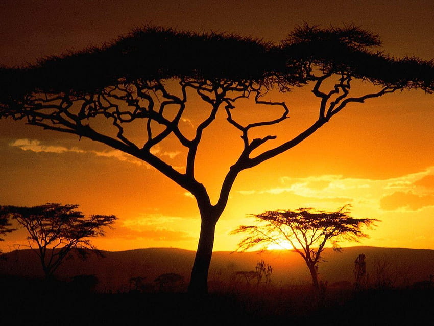 Tanzanian Sunset, Africa HD wallpaper
