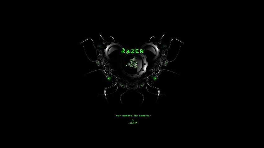 Showing posts & media for Razer blade stealth chroma, razer chroma HD wallpaper