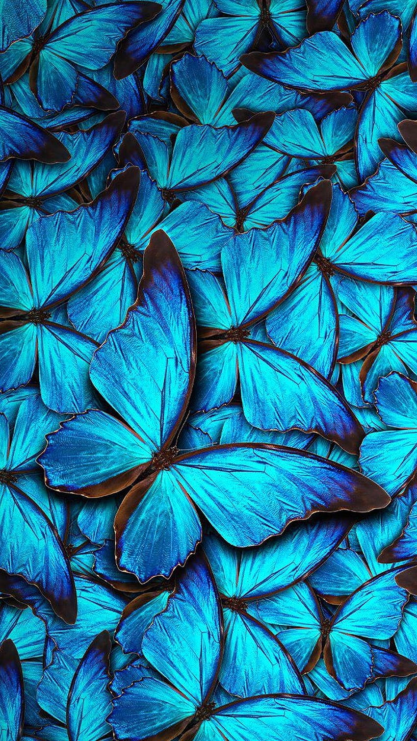 iPhone 8 Blue Butterfly, blue iphone HD phone wallpaper