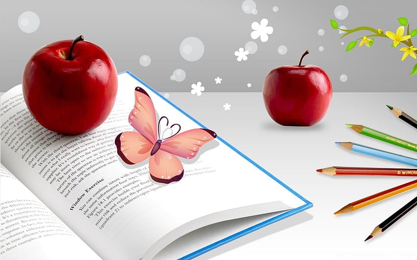 Red Apples, study time HD wallpaper