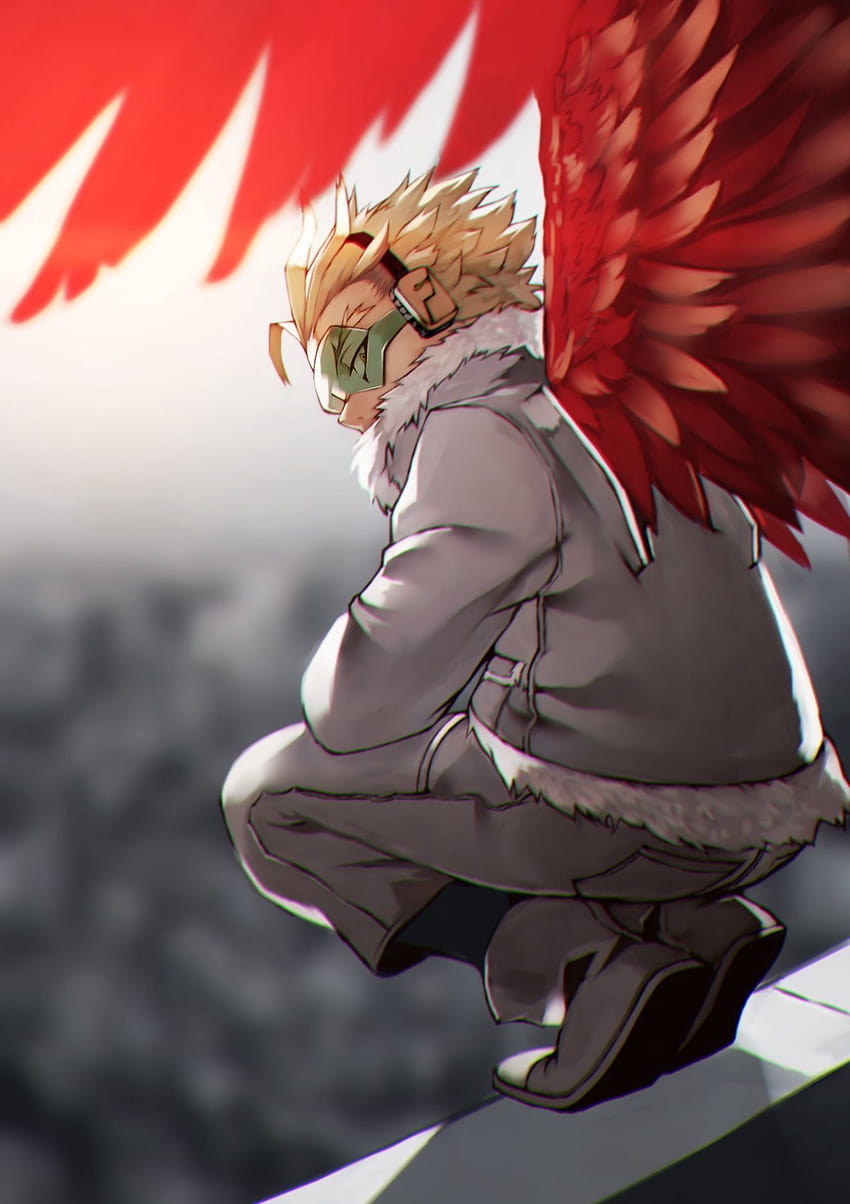 4 Best thanks to yagami yato i am in love with hawks in 2020 HD phone  wallpaper | Pxfuel