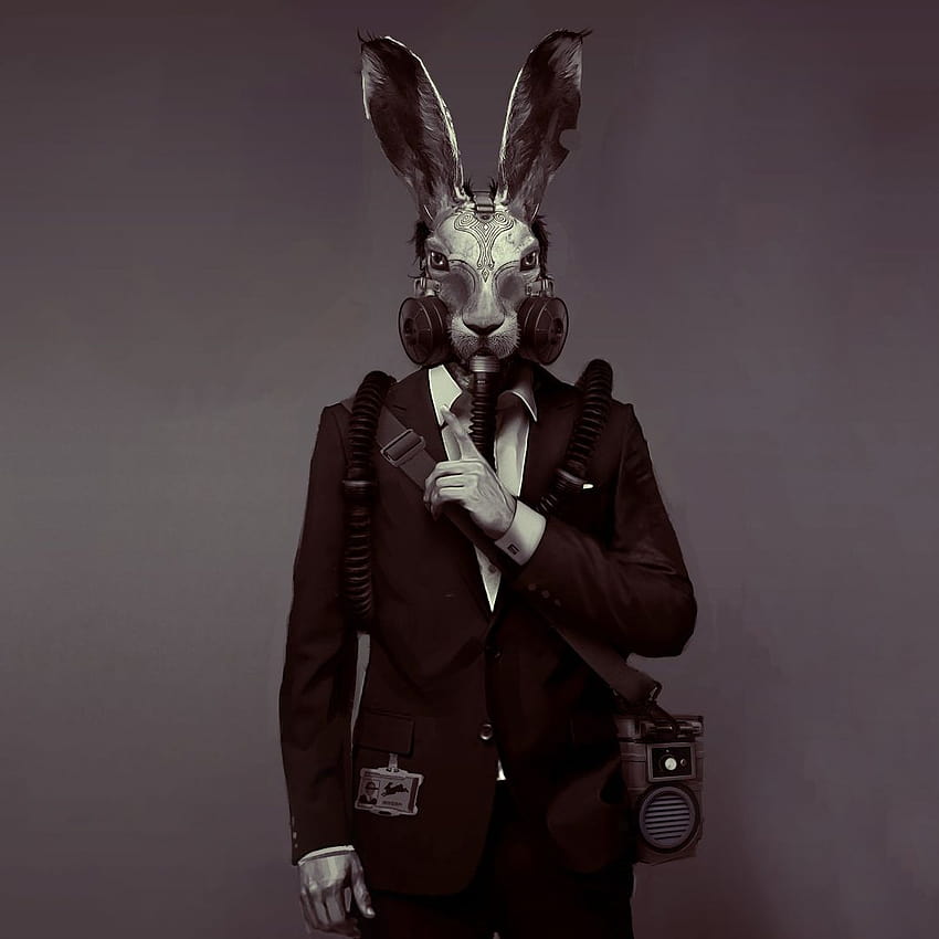 oszustwo gra królik, królik maska Tapeta na telefon HD