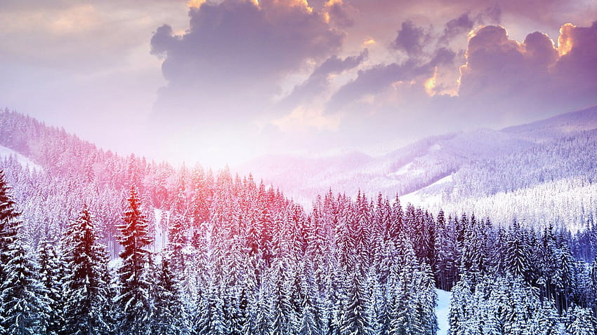 22 Winter Aesthetic, paisaje nevado estético rosa fondo de pantalla