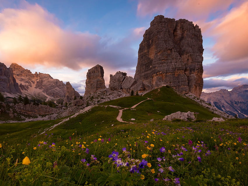 Cinque Torri e Dolomites Veneto Itália Wildflowers Sunset Pink Flowers Blue Sky Para PC Tablet e Celular: 13 papel de parede HD