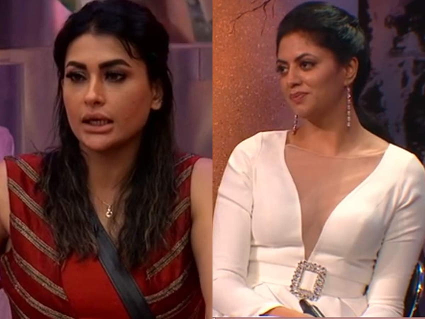 Bigg Boss 14: Kavita Kaushik i Pavitra Punia wdają się w bójkę; zawodnik z dziką kartą mówi: „aise logon ko mein apne ghar ke bahar rakhti hun” Tapeta HD