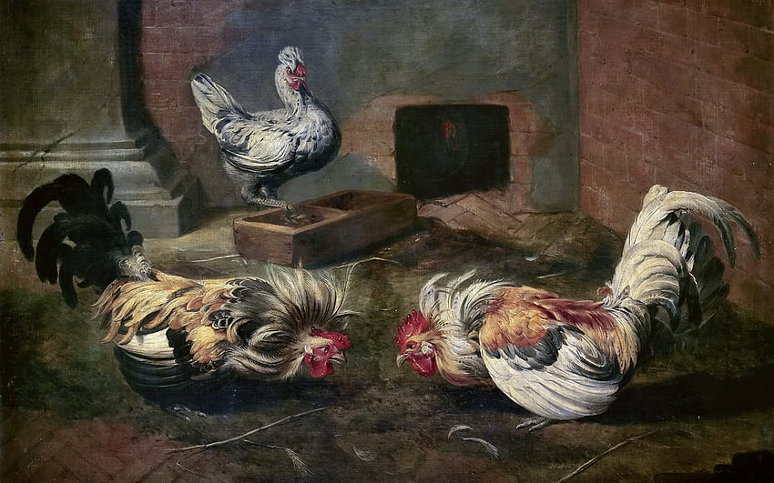 Rooster Chicken Frans Snyders, Cockfighting 2560x1600 HD wallpaper