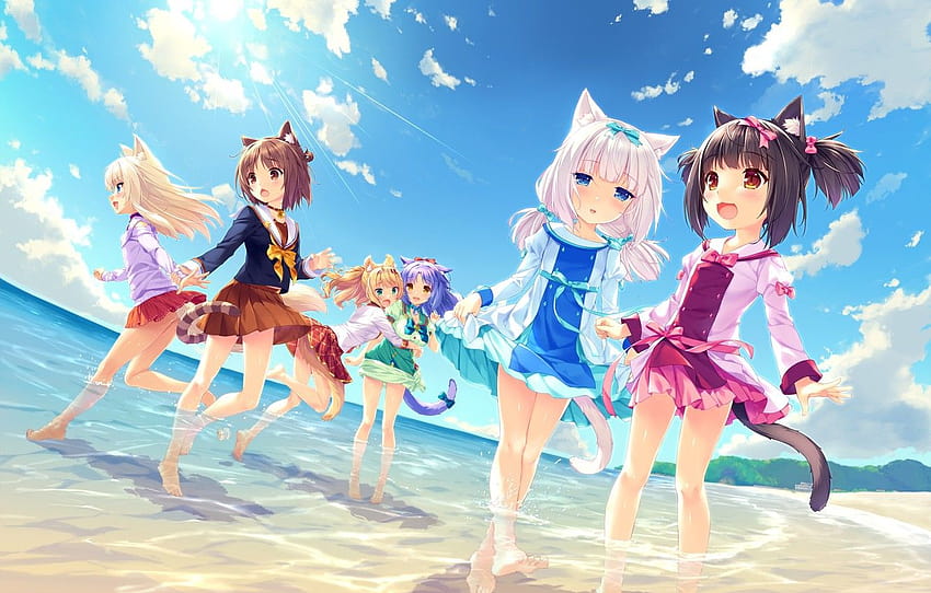 Wasser, Strand, Mädchen, Sommer, Nekopara, Sommer-Anime-Mädchen HD-Hintergrundbild