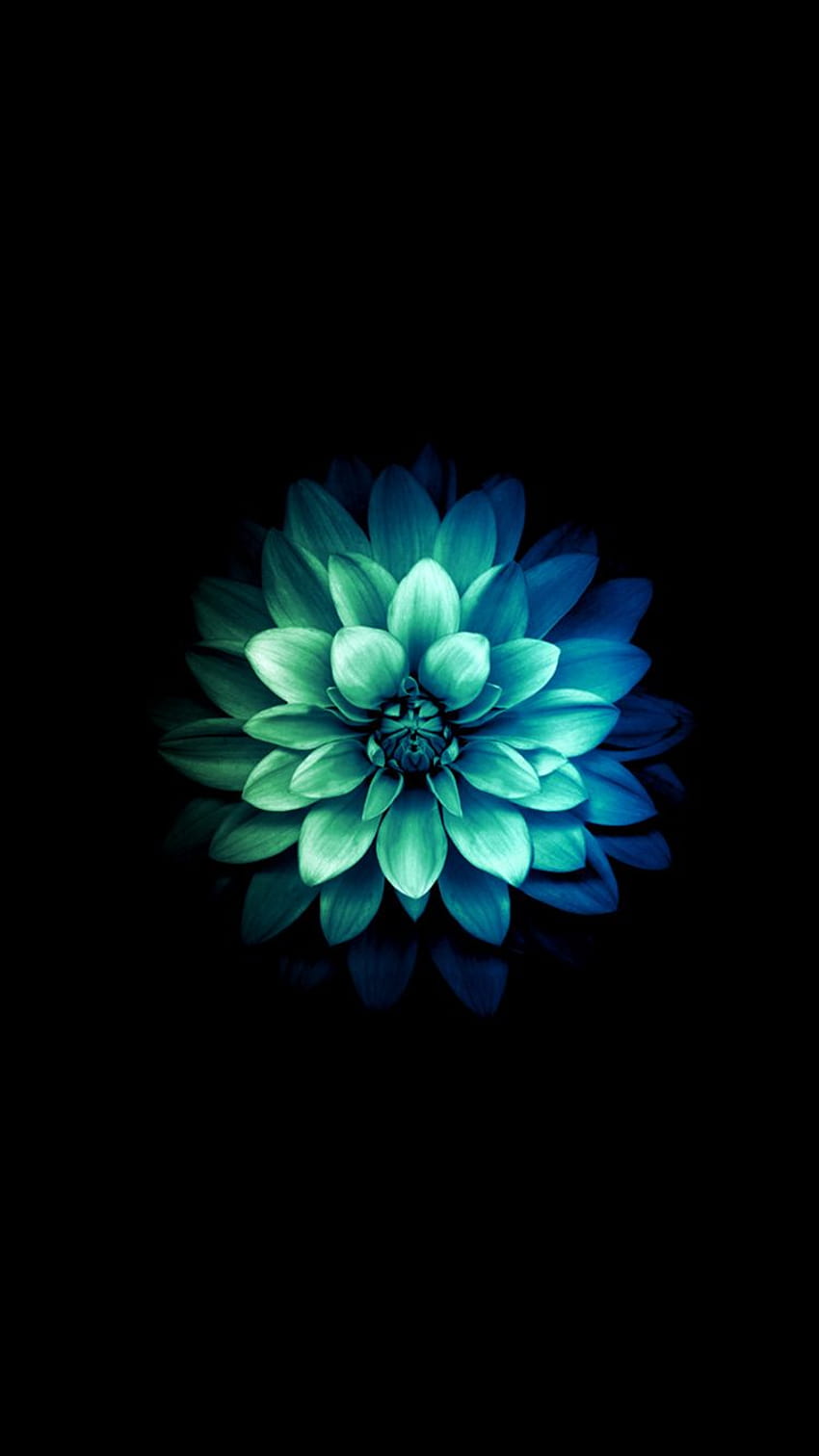 синьо-зелени цветя HD тапет за телефон