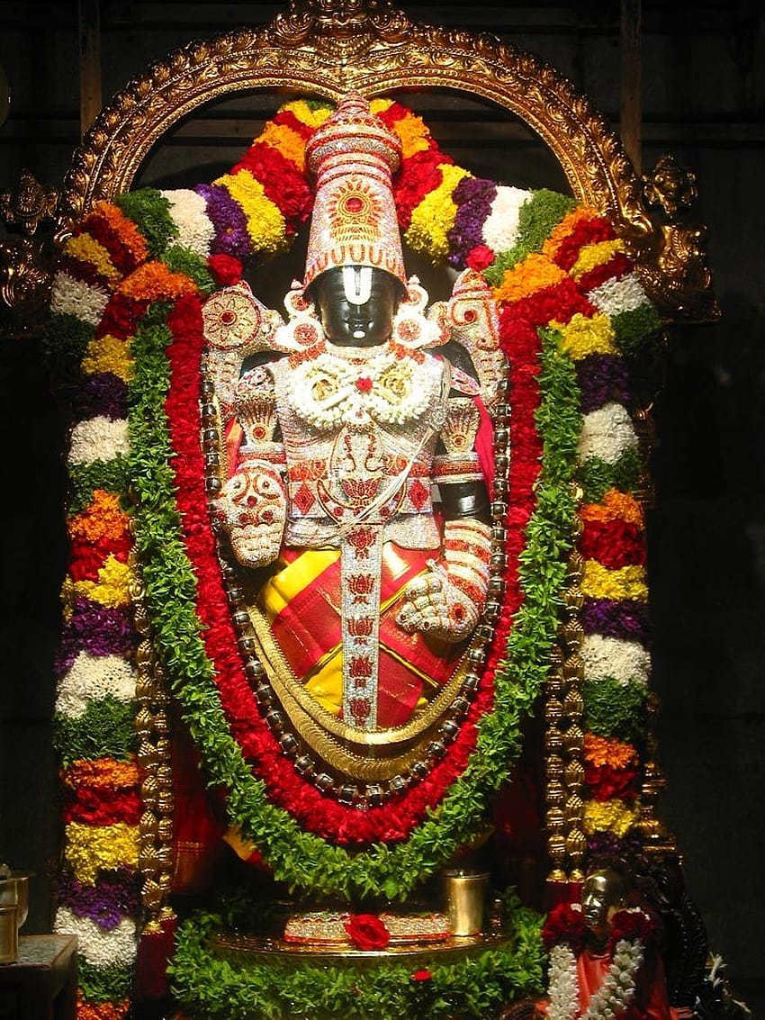 Lord Venkateswara Swamy ~ TTD Seva Online Booking Tirumala Darshan, Room Tirupatibalaji.ap.gov.in, ammavaru HD phone wallpaper