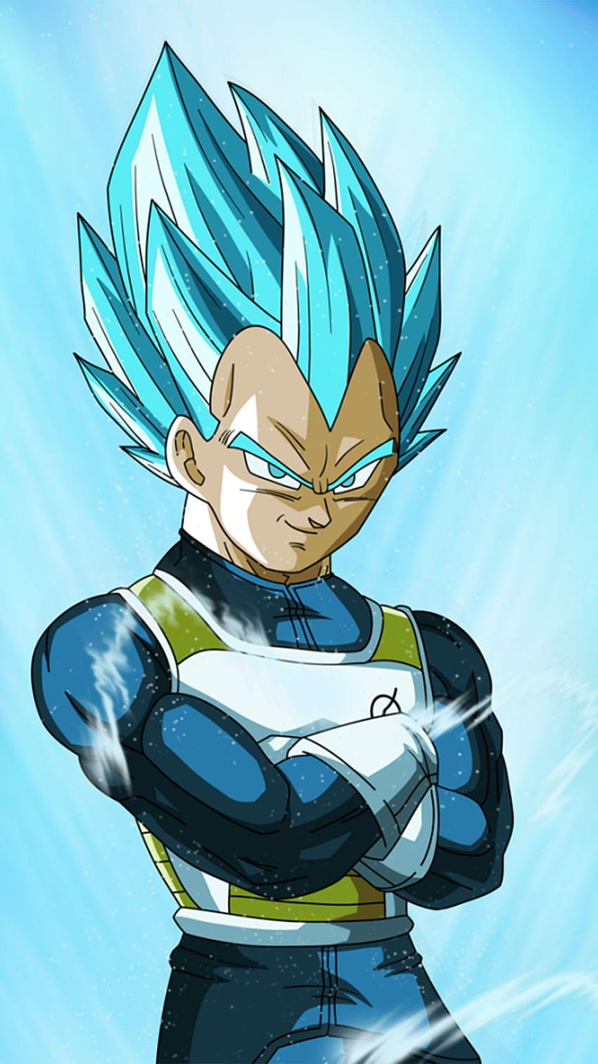 Dbz vegeta iphone HD wallpapers | Pxfuel