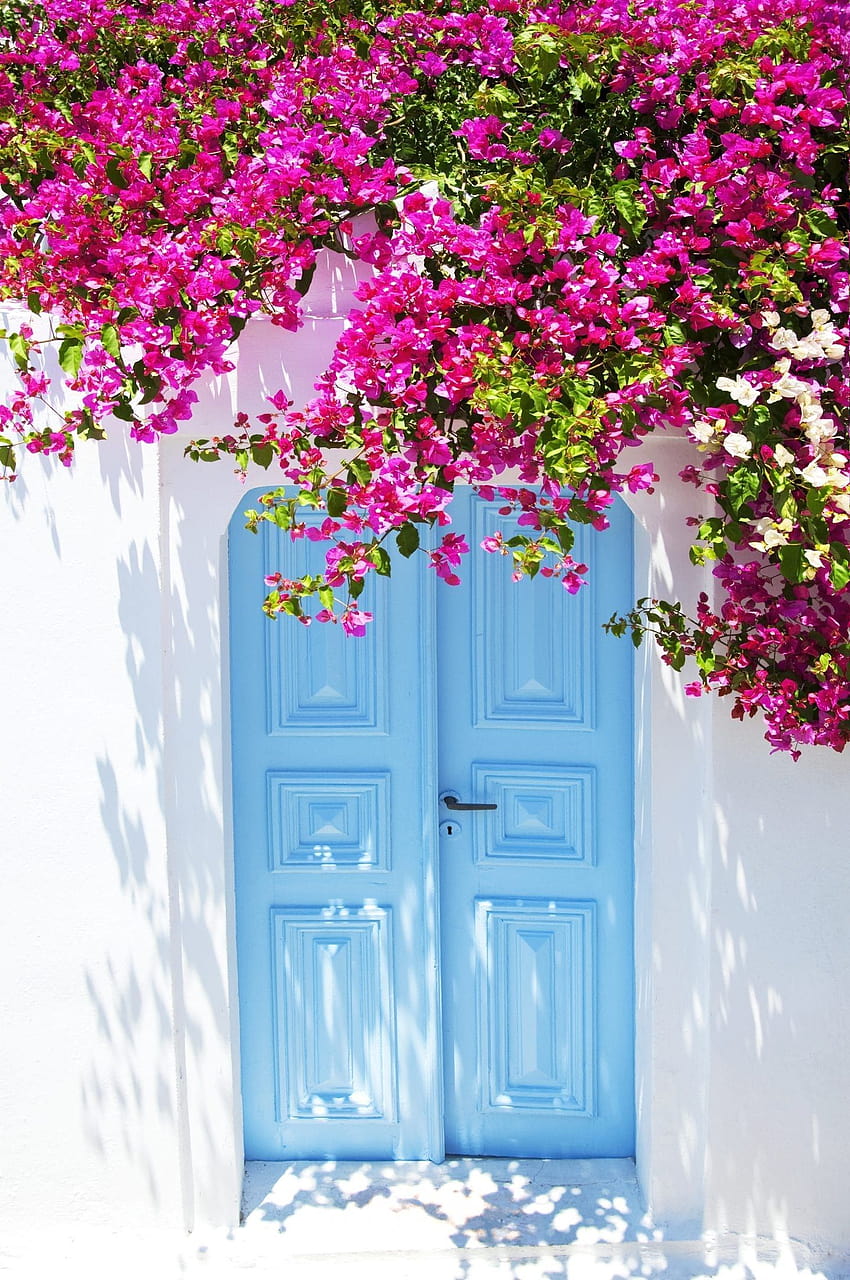 Épinglé sur îles grecques, printemps grec Fond d'écran de téléphone HD