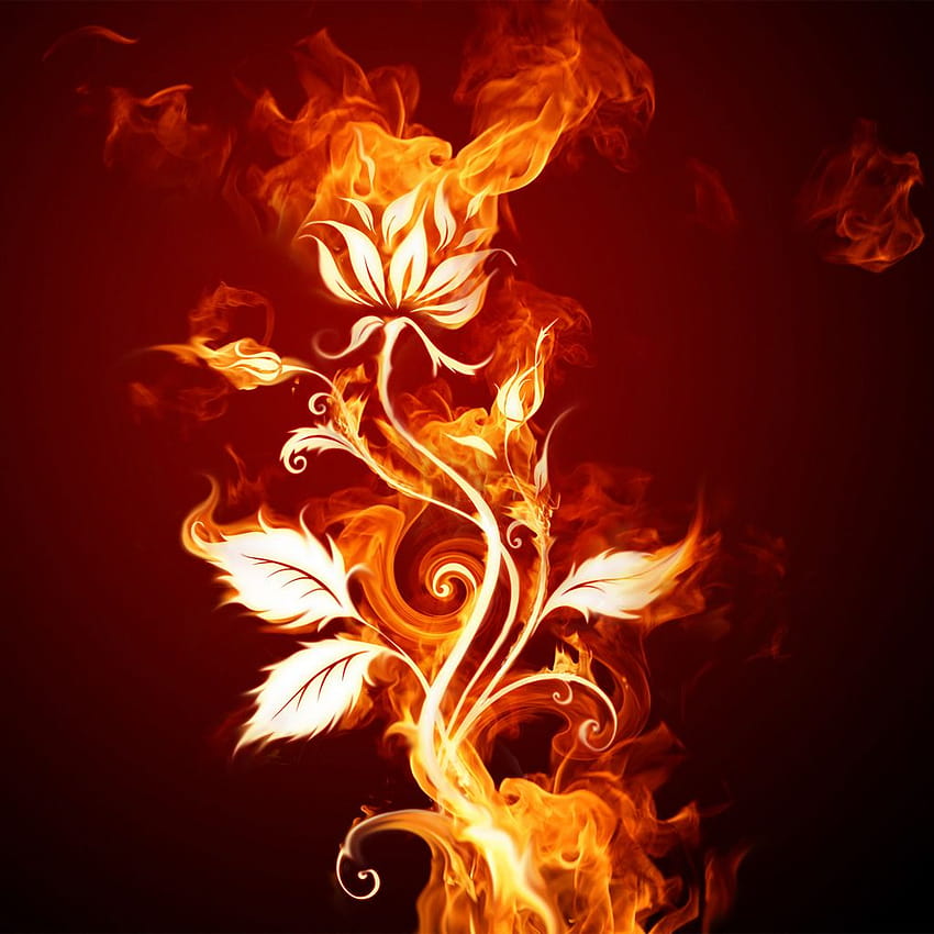 Wektor, róża w ogniu Tapeta na telefon HD