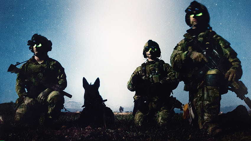 Cão de guerra: o melhor amigo do soldado, cães militares papel de parede HD
